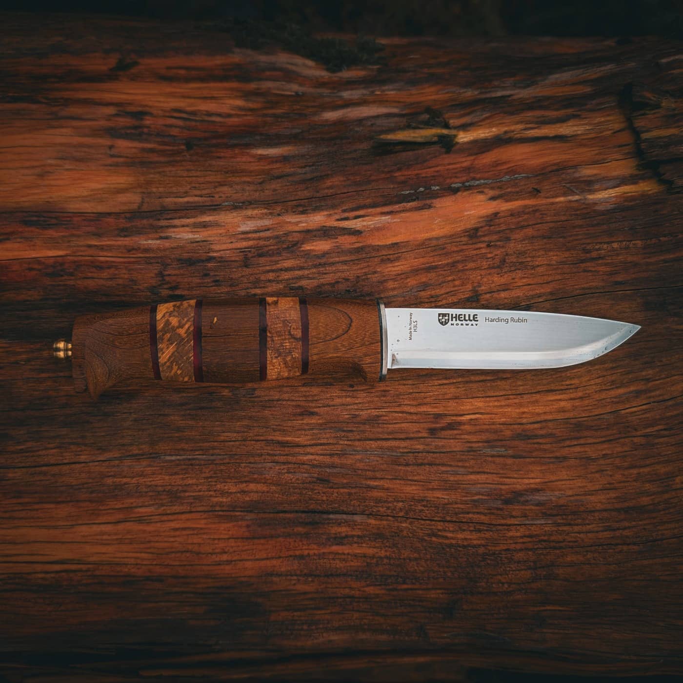 Master the Wild with Helle