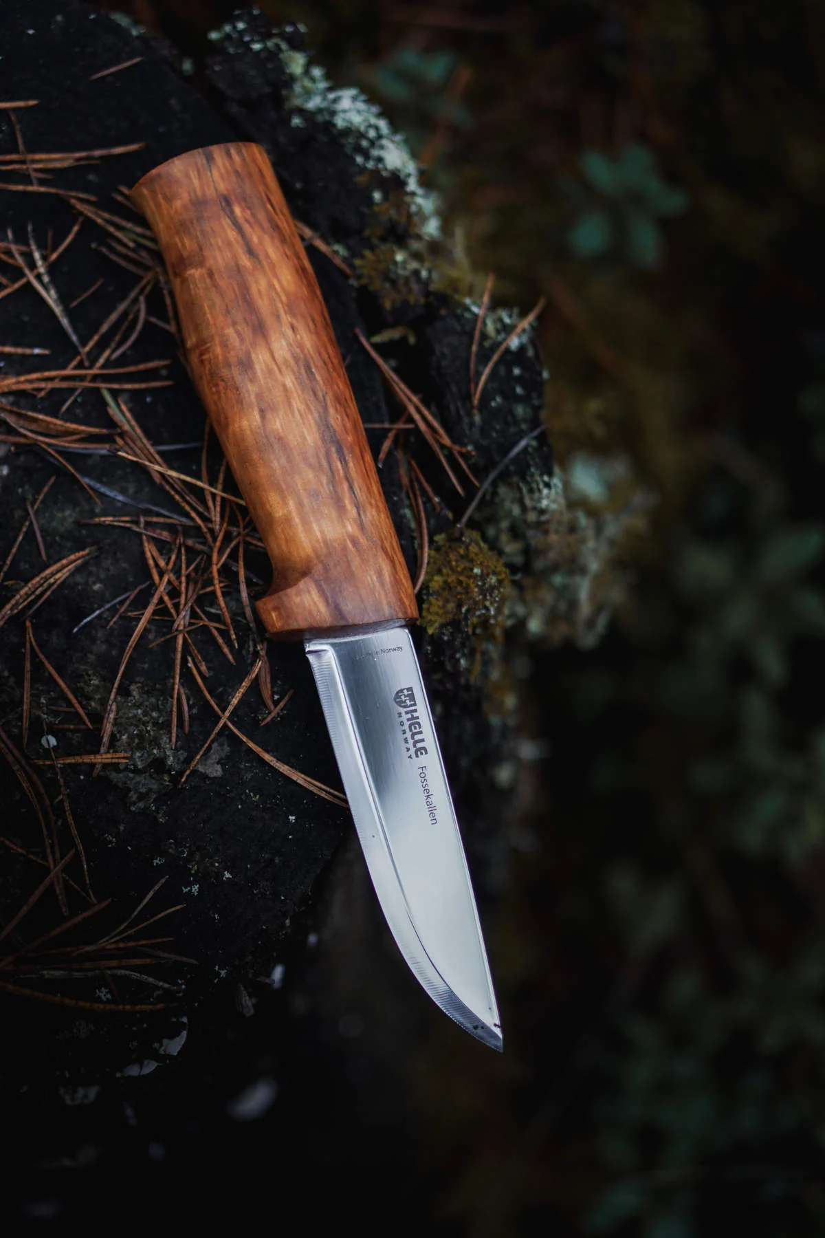 Fossekallen Knife - Image 3