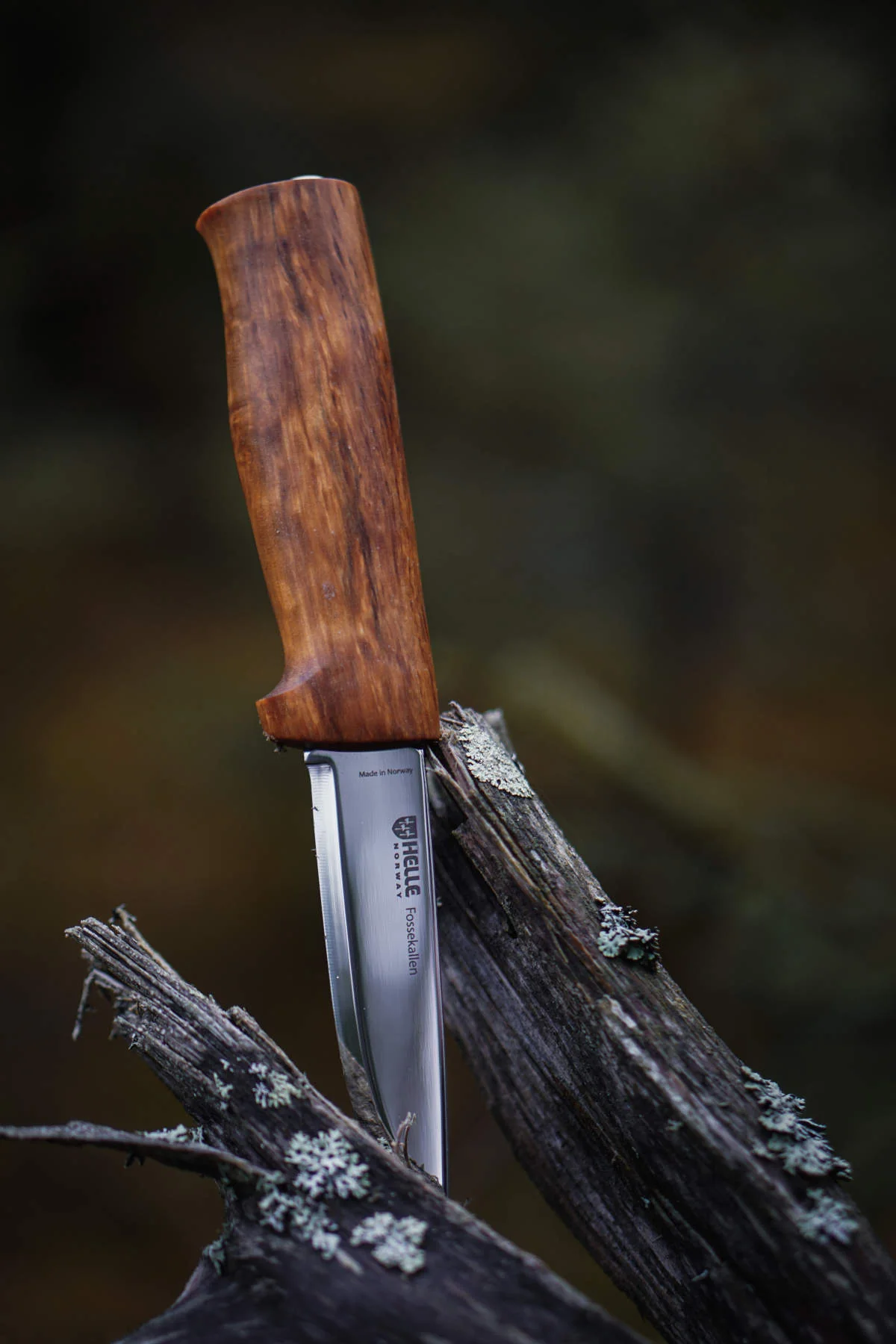Fossekallen Knife - Image 4