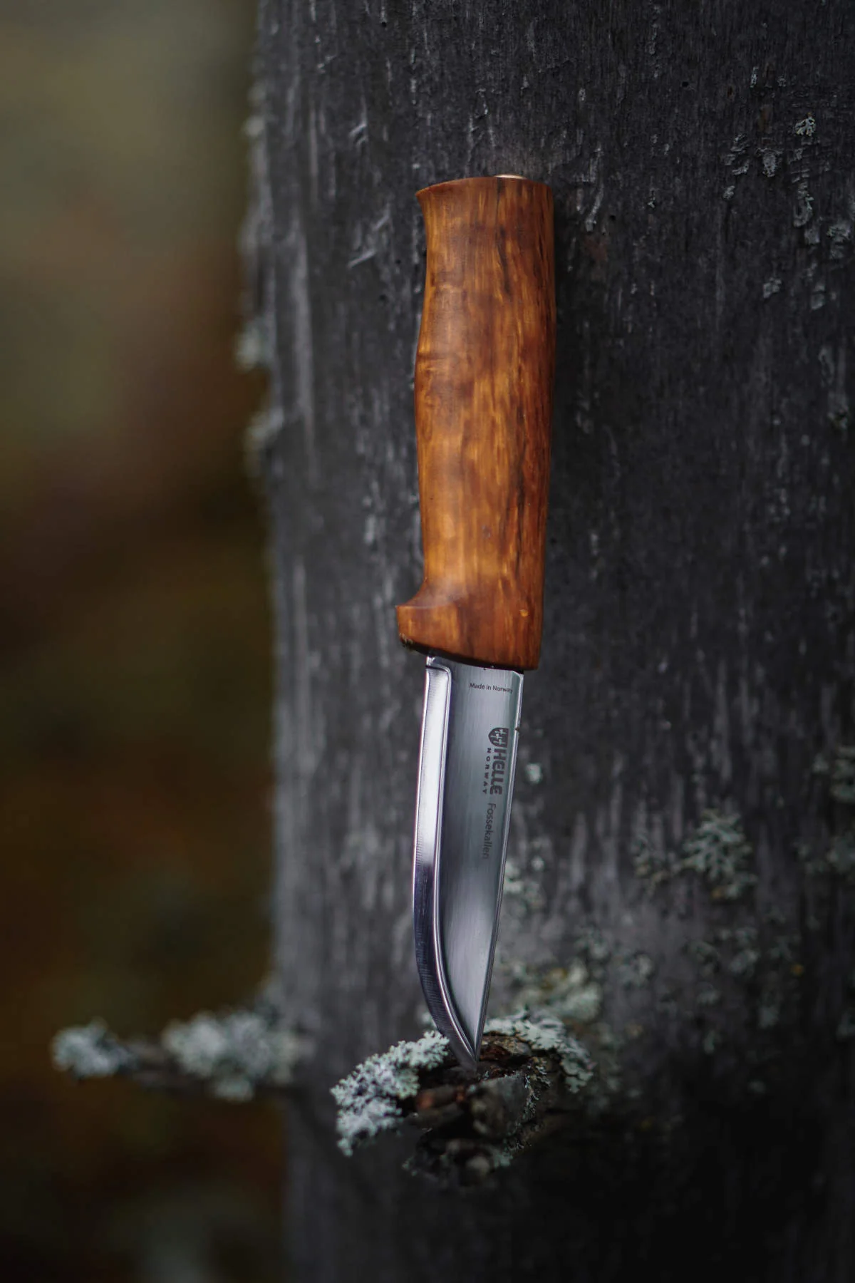 Fossekallen Knife - Image 6