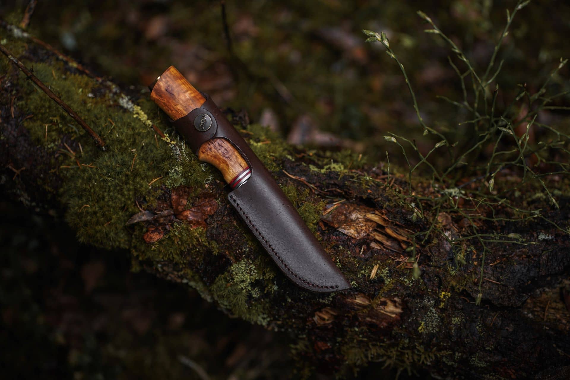 Futura Knife - Image 4