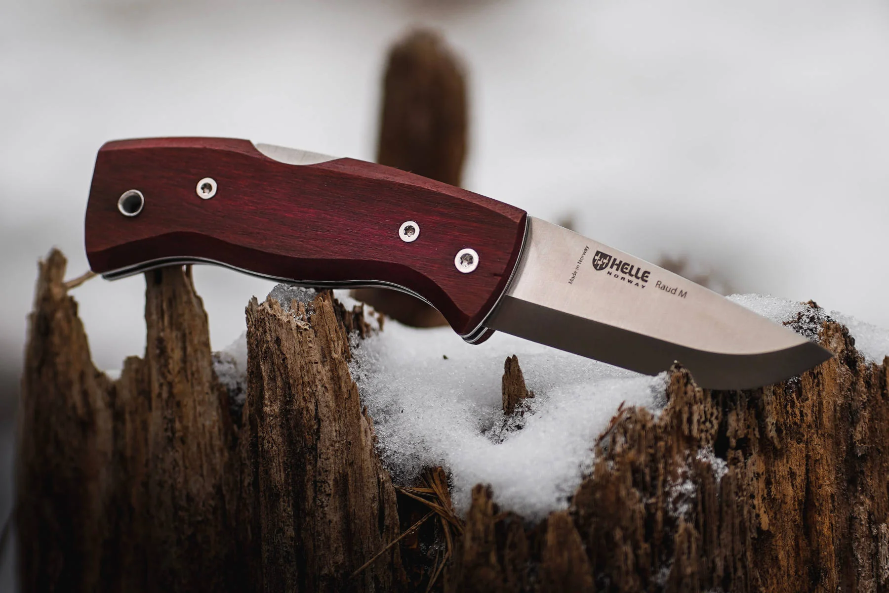 Raud M Knife - Image 6