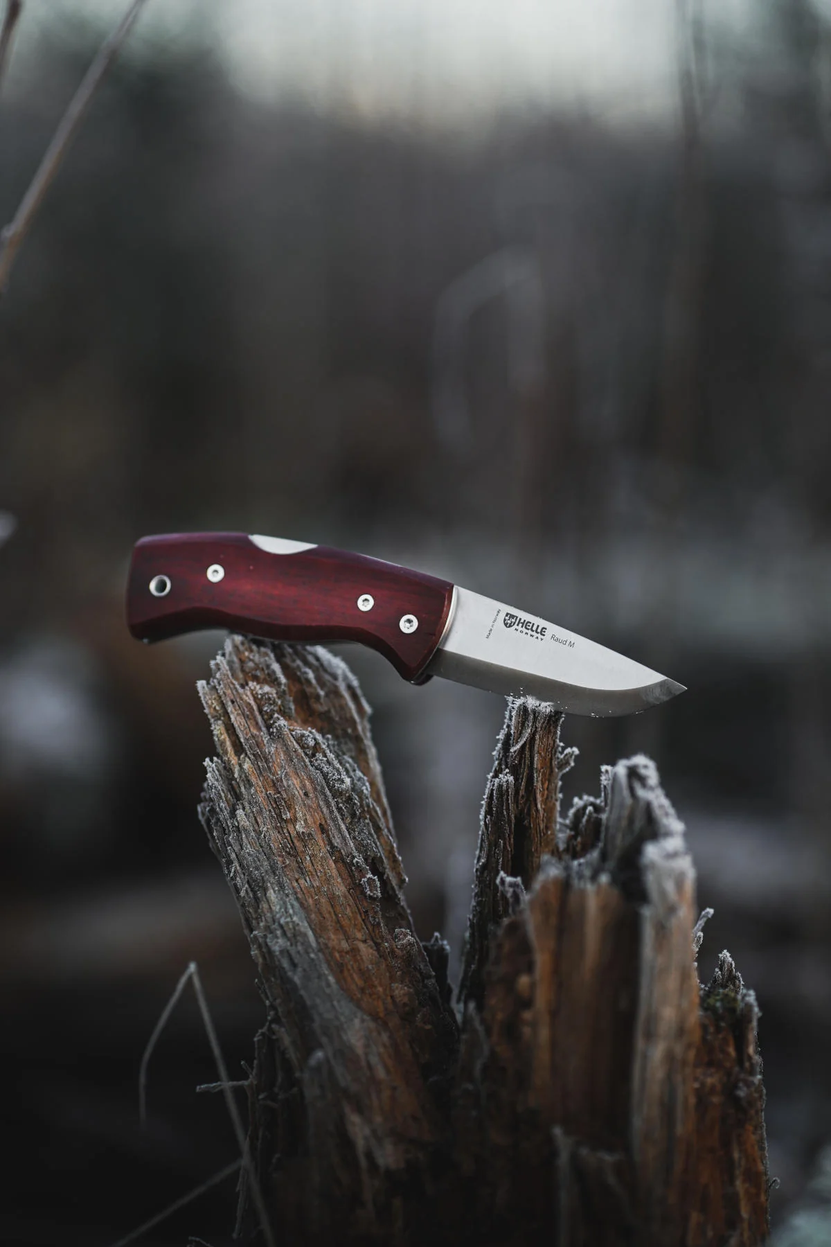 Raud M Knife - Image 8